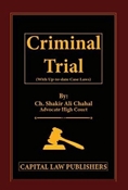 Picture of Criminal Trial